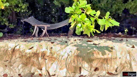Katty West in beach hammock bushes, cheating outdoor scene