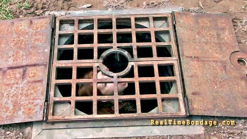 Calico locked in rusty metal grate for intense bondage