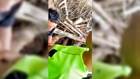 Amateur outdoor scat play with cousin behind stadium, exposed ass