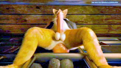 Muscular orange furry catboy squats spreading thick thighs exposing huge erect pink cock and heavy balls