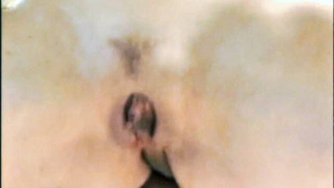 Close-up of mature woman's hairy vulva and anus