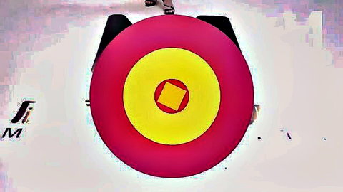 Pink target with yellow bullseye in Model Media's Sex Study Room adult video
