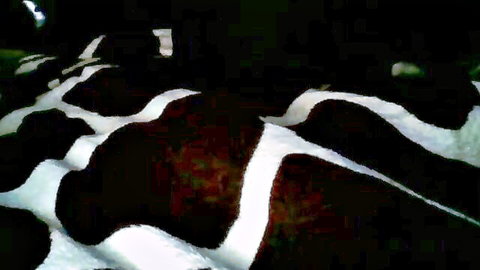 Baby1445666 petite big ass squirt cam show on Chaturbate