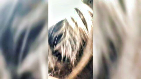 Blurry close-up of wet blonde hair on woman during lesbian training session