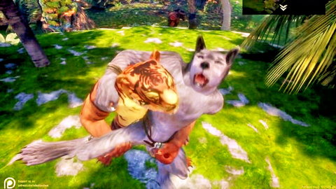 Furry tiger mounting muscular bear in explicit unshaved intercourse