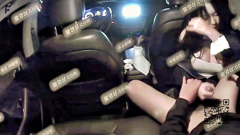 Pretty Korean woman with big breasts exposing in car, solo fingering