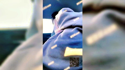 Pretty slender Korean girl in hoodie during car hookup, full exposure tease