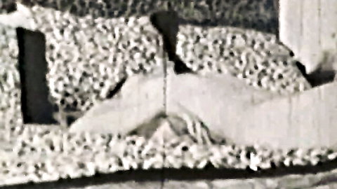 Vintage 1960s nude woman with big breasts in couple sex scene