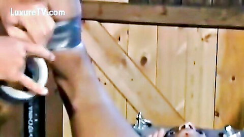 Mistress hands tightly strap submissive slave's ankle to wooden bondage frame