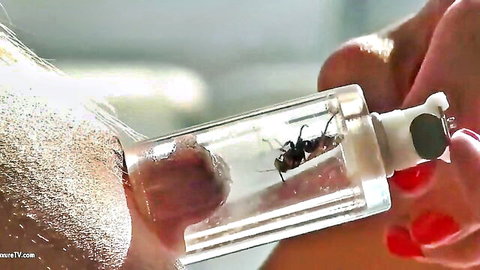 Blonde woman presses bee jar to her nipple in shocking insect sting fetish scene