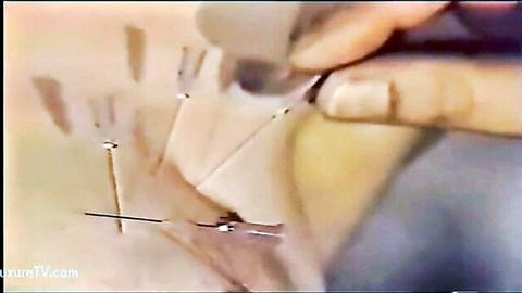 Anita Feller in BDSM needle play on hand