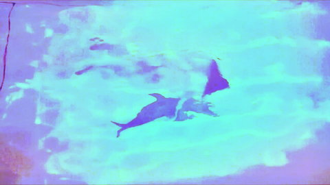 Rachel Weisz silhouette in blue underwater scene from I Want You 1998