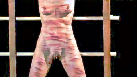Nude woman in metal bondage cage covered in red whip welts on tits pussy thighs and legs