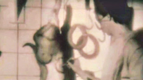 Julie Delpy, Robin Tunney, Emily Bruni in steamy threesome from Investigating Sex 2001