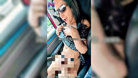 Hung Asian trans hitchhiker exposing large cock and tits in car