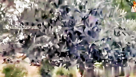 Amateur gay twinks fucking on tree in outdoor super boys porn video