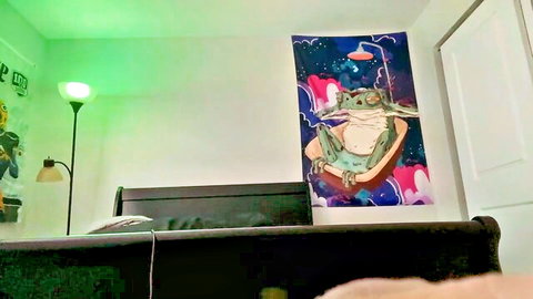 Psychedelic frog in bathtub poster on bedroom wall with green lamp and gaming desk setup