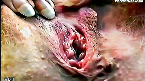 Dutch pregnant Wilma's explicit close-up pussy spread outdoors