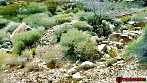 Ebony woman railed hard in desert outdoor sex scene