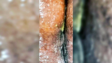 Close-up of wet hairy ebony pussy with glistening dark labia majora