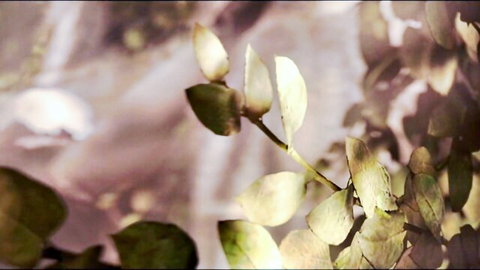 2B x 9S cosplay tease with lush green leaves in soft lighting