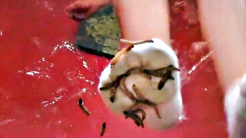 Maggots crawling from white blob in red watery blood with green leaf held by hand
