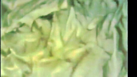 Blurry green abstract tease in Kanye West Famous video with naked celebs