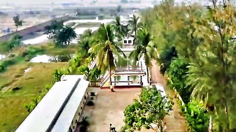 Aerial drone view of Indian village with palm trees, paddy fields, white building and pathway