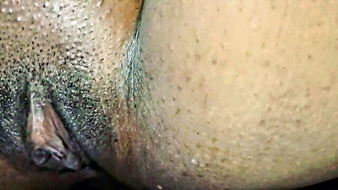 Extreme close-up of thick cock head penetrating wet hairy pussy lips