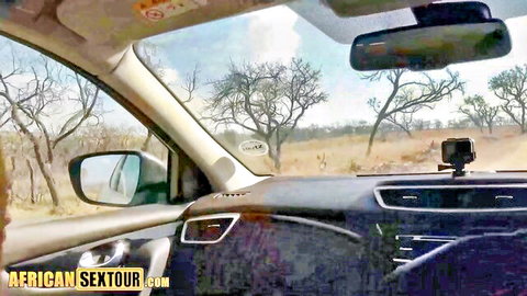 African teen giving blowjob in car during safari drive