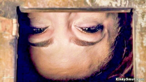 Close-up of gagged babe's eyes peeking through hole in device bondage