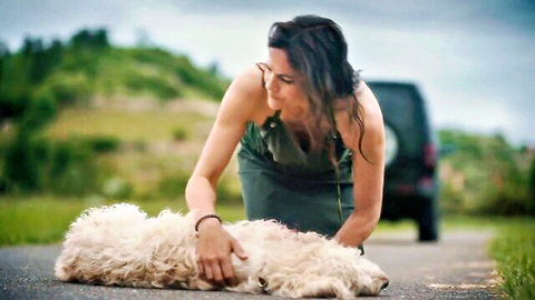 Bettina Zimmermann in emotional outdoor scene kneeling by dog in green dress