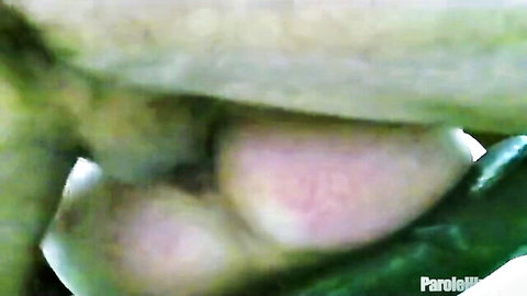 Gangsta Poking: Blurry parole officer scene with pink flesh and green leaves