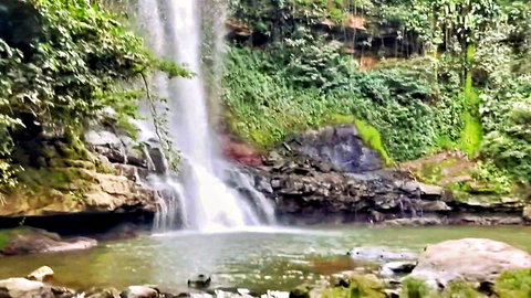 Majestic waterfall cascading into serene forest pool amid lush green foliage
