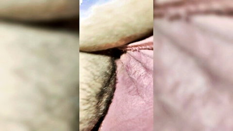 Blurry close-up of fur-covered pink pussy lips and skin outdoors
