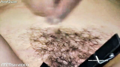 Closeup of hairy pussy with labia pinched by black clamp in bondage