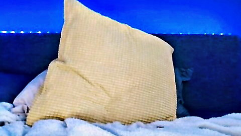 Cozy bedroom pillow on bed with blue LED lights and rumpled sheets in webcam setup
