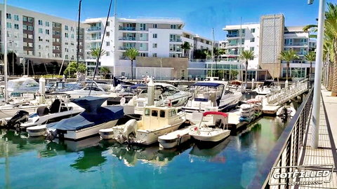 Sunny marina with docked yachts surrounded by modern white waterfront apartments and palm trees
