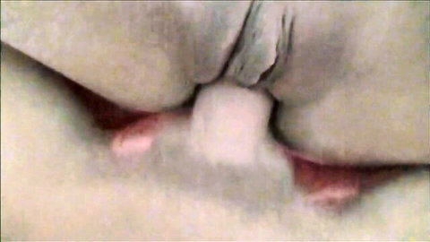 Close-up of shaved pussy lips spread wide with pink interior and white butt plug inserted in tight asshole