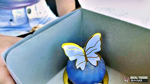 Hands holding open box with fancy blue butterfly-topped dessert cake inside