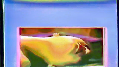 Vintage Thai straight porn thumbnail of nude Asian woman in explicit pose