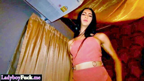 Cute Asian transwoman with big tits in pink crop top and skirt posing seductively