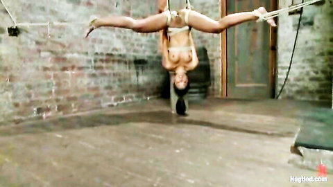 Ebony babe suspended upside down in tight ropes legs spread wide exposing shaved pussy and small tits
