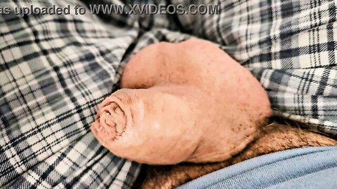 Close-up of thick circumcised cock head bulging from plaid sheets with pubic hair