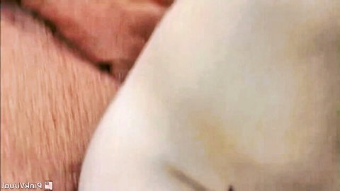 Extreme close-up of wet glistening pussy lips and folds with visible skin texture