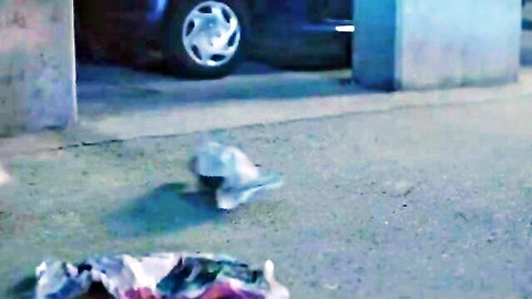 Dimly lit parking garage with blue car, plastic bottle and scattered fabric scraps on concrete floor