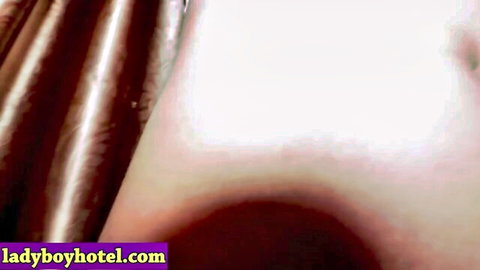 Amateur Asian trans ladyboy takes rough anal pounding in hotel POV