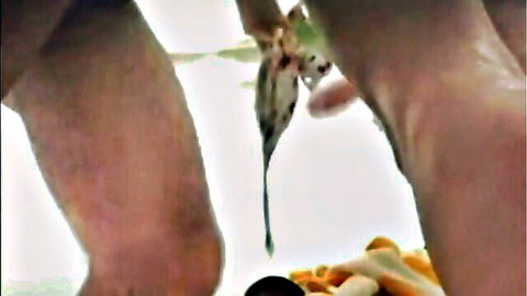 Amateur homemade kebab food play on erect penis closeup