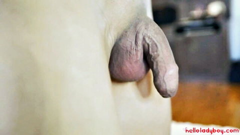 Thai ladyboy close-up of her thick cock and balls