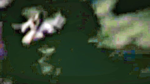 Blurry topless woman spreads pale legs wide teasing pussy on green outdoor grass